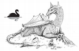 Black swan and dragon image